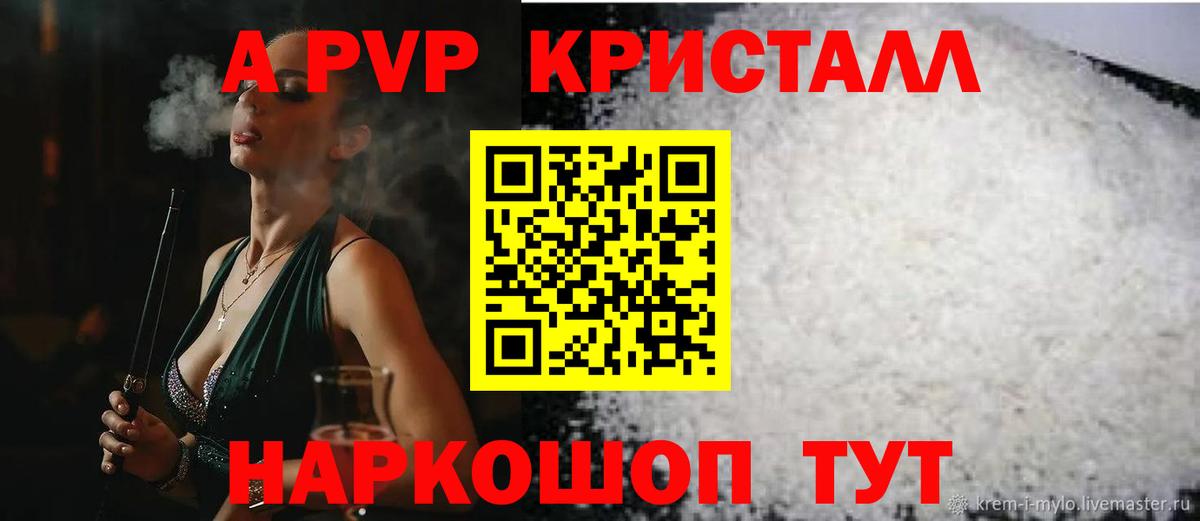 A PVP СК КРИС Новоалександровск