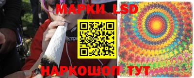 spice Чебаркуль