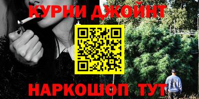 сатива Чебоксары
