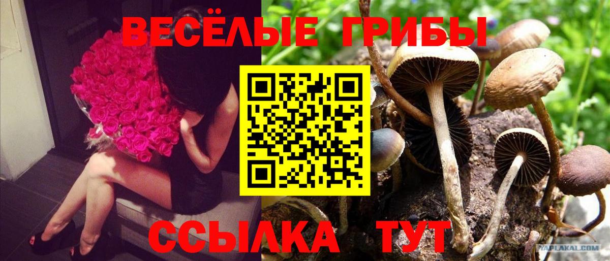 Псилоцибиновые грибы Magic Shrooms Новоалександровск