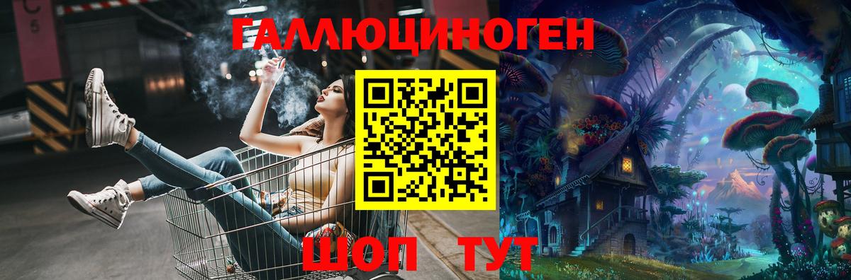 Новоалександровск  Галлюциногенные грибы ЛСД  где можно купить   Вход с VPN  Галлюциногенные грибы Psilocybe 